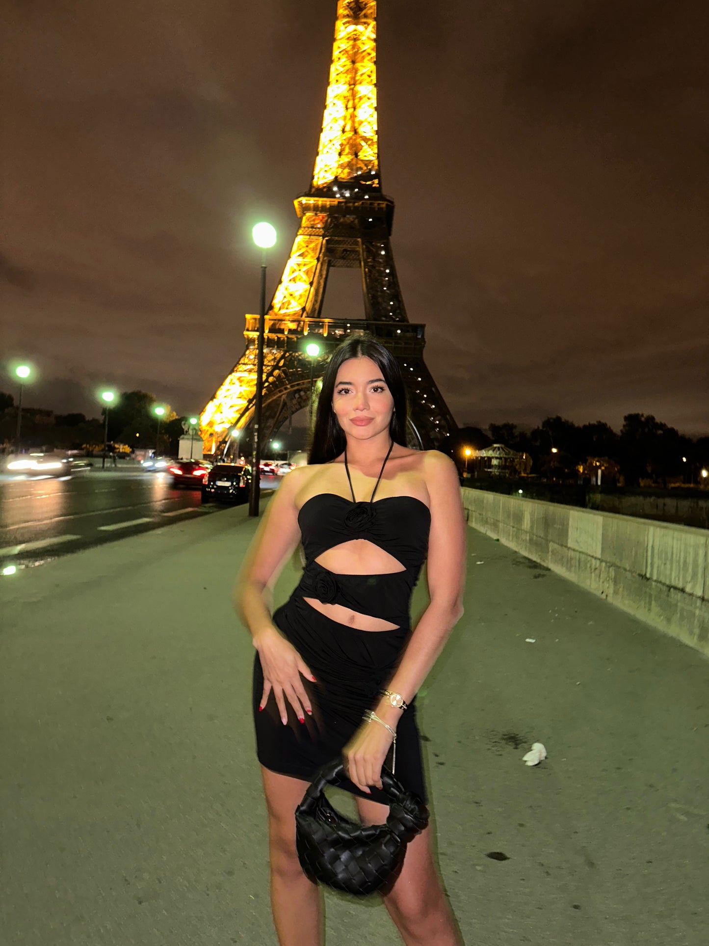 Minivestido Jardim de Rosas