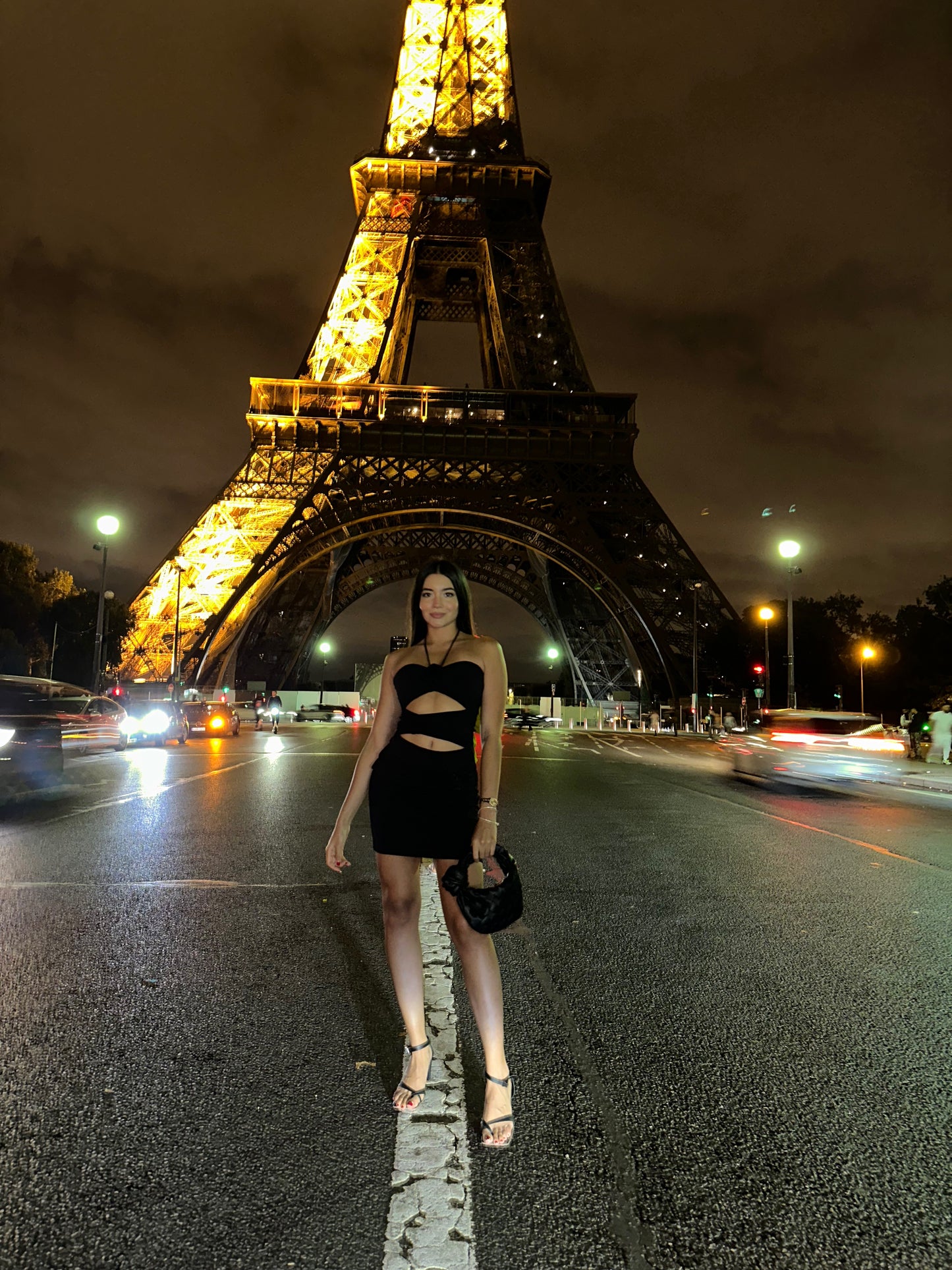 Minivestido Jardim de Rosas