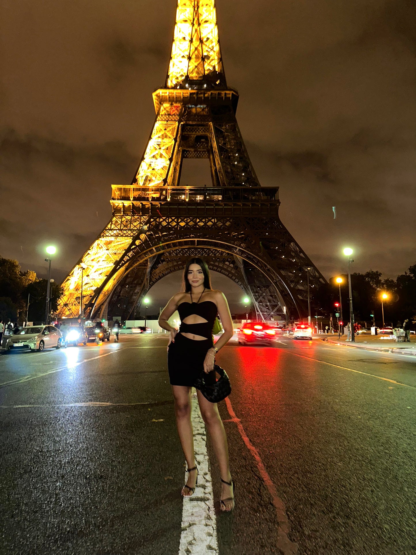 Minivestido Jardim de Rosas